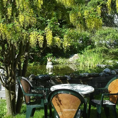 Ambiente Hotel